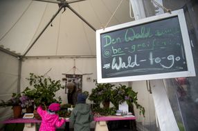 NÖ Familienfest auf der Schallaburg | 4.+5.5.