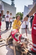 Straßenfest zum Weltspieltag in NÖ