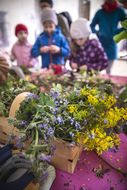 NÖ Familienfest auf der Schallaburg | 4.+5.5.