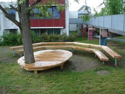 Sitzgelegenheit aus Holz um einen Baum herum.