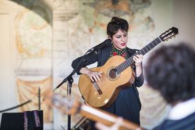 Dame spielt live mit einer Gitarre beim NÖ Familienfest auf der Schallaburg