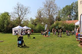 Kinder und Erwachsene spielen auf einer grünen Wiese beim Familienfest Donau-Auen