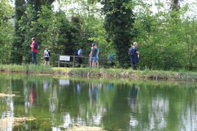Natur pur beim Familienfest Donau-Auen