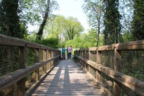 Holzbrücke führt durch einen Wald beim Familienfest Donau-Auen