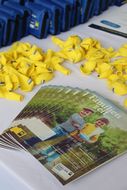 Ausgabe des Familienzeit Magazins
