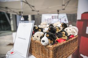 Straßenfest zum Weltspieltag in NÖ