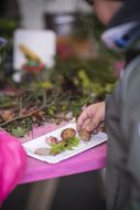 NÖ Familienfest auf der Schallaburg | 4.+5.5.