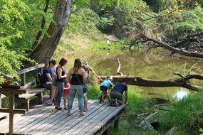 Familien begutachten die Gewässer des Nationalparks beim Familienfest Donau-Auen