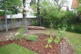 Kleiner Garten