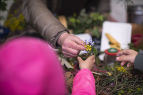 NÖ Familienfest auf der Schallaburg | 4.+5.5.