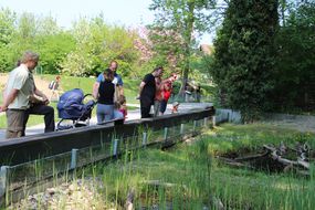 Gäste des Familienfest Donau-Auen bestaunen die Donau-Auen
