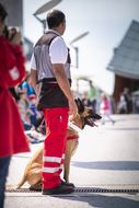Straßenfest zum Weltspieltag in NÖ