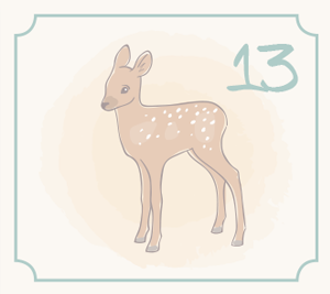 Illustration Reh für den 13. Dezember des Adventkalender-Gewinnspiels