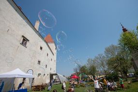 Familienfest Donau Auen